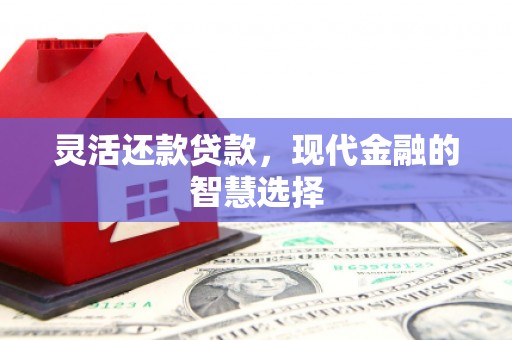 南部灵活还款贷款，现代金融的智慧选择