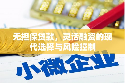 南部无担保贷款，灵活融资的现代选择与风险控制