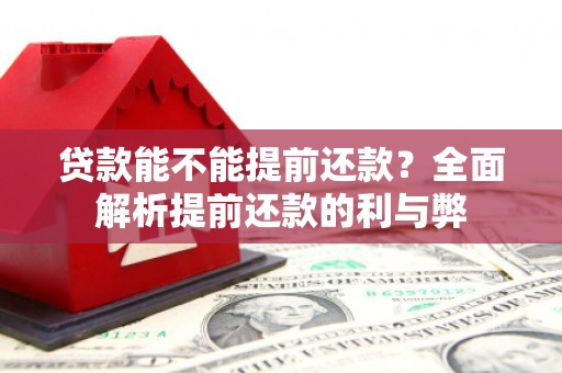 南部贷款能不能提前还款？全面解析提前还款的利与弊