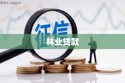 南部林业贷款