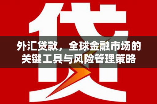 南部外汇贷款，全球金融市场的关键工具与风险管理策略