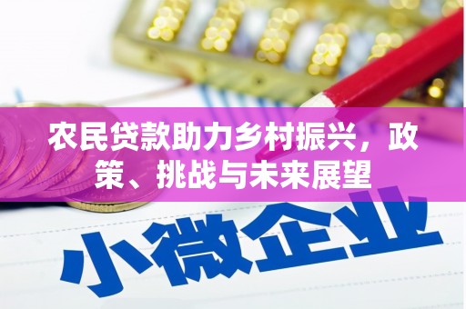 南部农民贷款助力乡村振兴，政策、挑战与未来展望