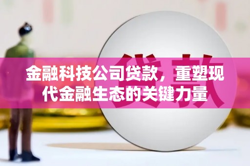 南部金融科技公司贷款，重塑现代金融生态的关键力量