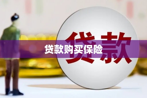 南部贷款购买保险