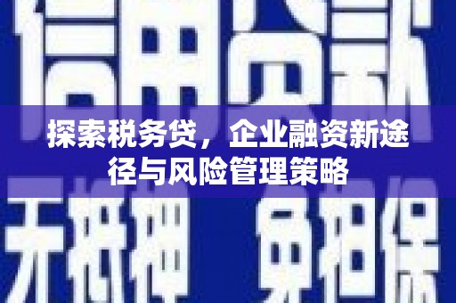 南部探索税务贷，企业融资新途径与风险管理策略