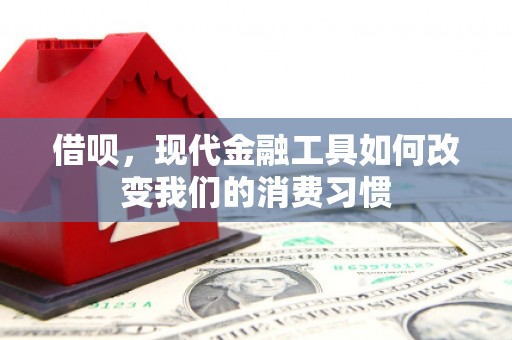 南部借呗，现代金融工具如何改变我们的消费习惯