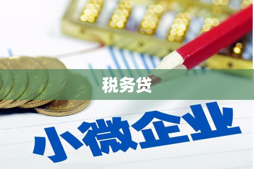 南部税务贷