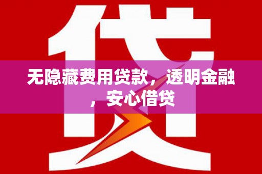 南部无隐藏费用贷款，透明金融，安心借贷