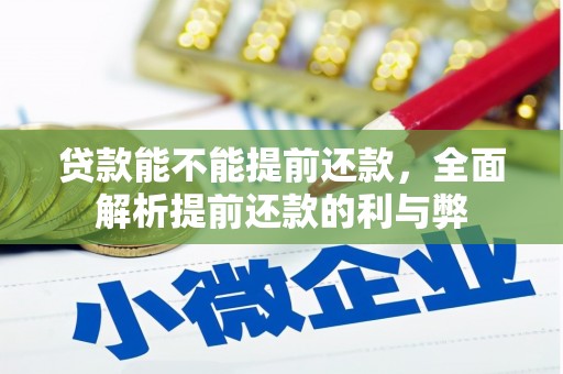 南部贷款能不能提前还款，全面解析提前还款的利与弊