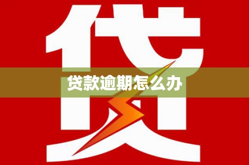 南部贷款逾期怎么办