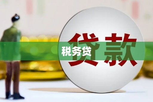 南部税务贷