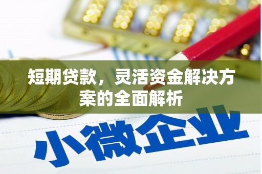 南部短期贷款，灵活资金解决方案的全面解析