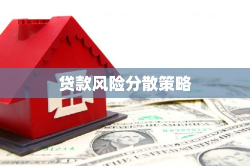 南部贷款风险分散策略