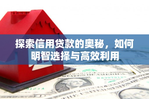 南部探索信用贷款的奥秘，如何明智选择与高效利用