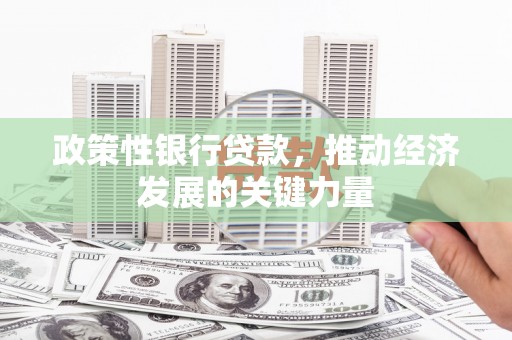 南部政策性银行贷款，推动经济发展的关键力量