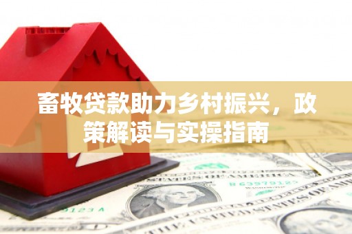 南部畜牧贷款助力乡村振兴，政策解读与实操指南
