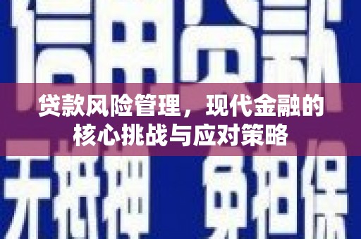 南部贷款风险管理，现代金融的核心挑战与应对策略