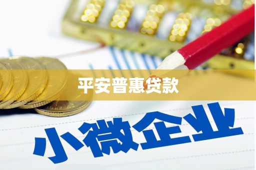 南部平安普惠贷款