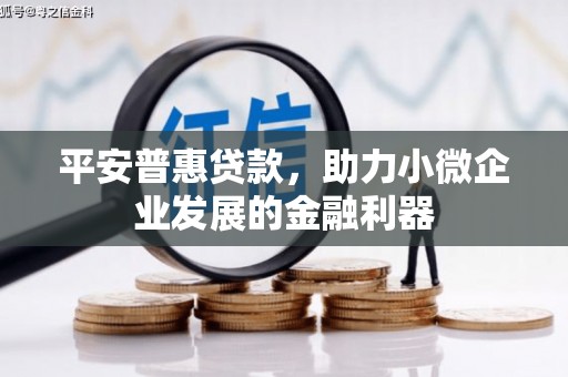 南部平安普惠贷款，助力小微企业发展的金融利器