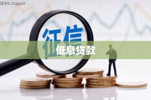 南部低息贷款