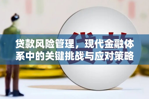 南部贷款风险管理，现代金融体系中的关键挑战与应对策略