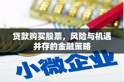 南部贷款购买股票，风险与机遇并存的金融策略