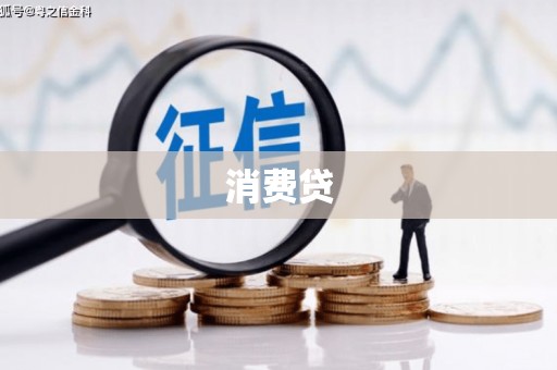 南部消费贷