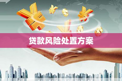 南部贷款风险处置方案