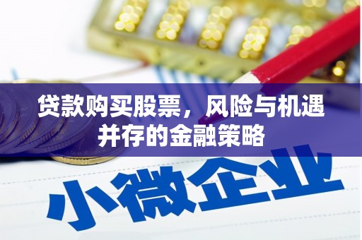 南部贷款购买股票，风险与机遇并存的金融策略